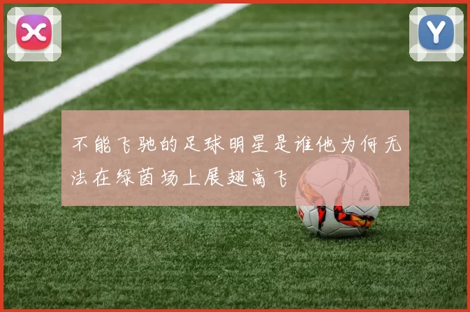 不能飞驰的足球明星是谁他为何无法在绿茵场上展翅高飞