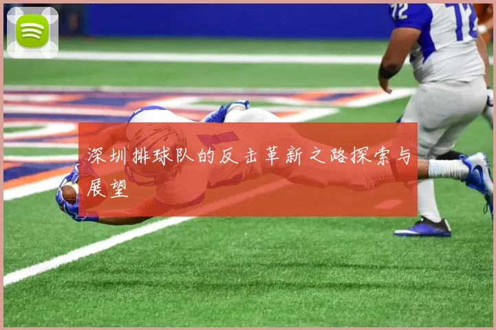 深圳排球队的反击革新之路探索与展望