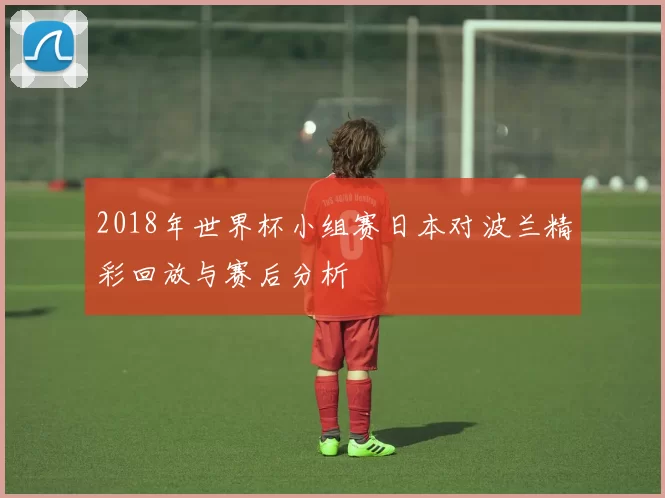 2018年世界杯小组赛日本对波兰精彩回放与赛后分析