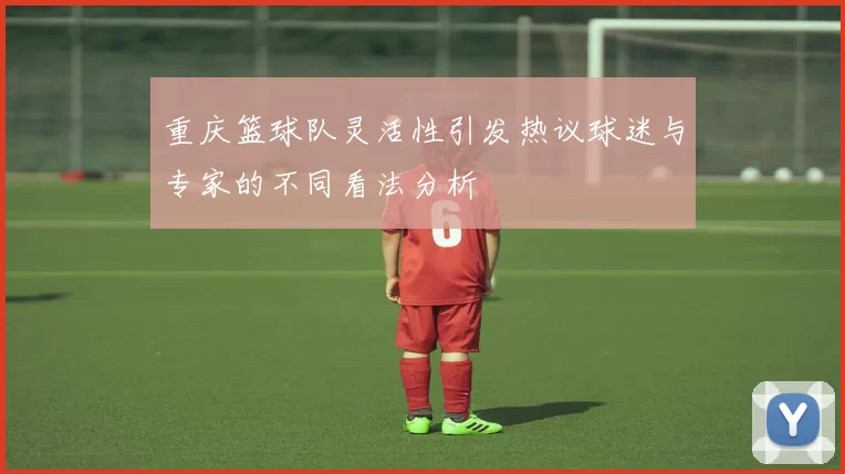 重庆篮球队灵活性引发热议球迷与专家的不同看法分析
