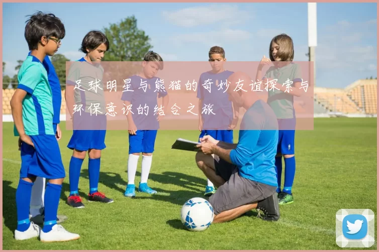 足球明星与熊猫的奇妙友谊探索与环保意识的结合之旅