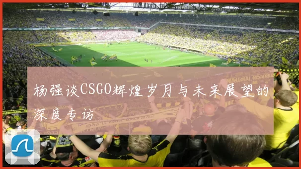 杨强谈CSGO辉煌岁月与未来展望的深度专访