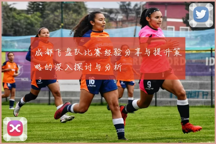成都飞盘队比赛经验分享与提升策略的深入探讨与分析