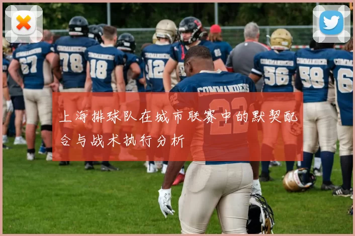 上海排球队在城市联赛中的默契配合与战术执行分析