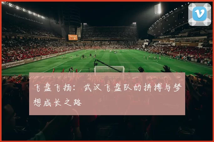 飞盘飞扬：武汉飞盘队的拼搏与梦想成长之路