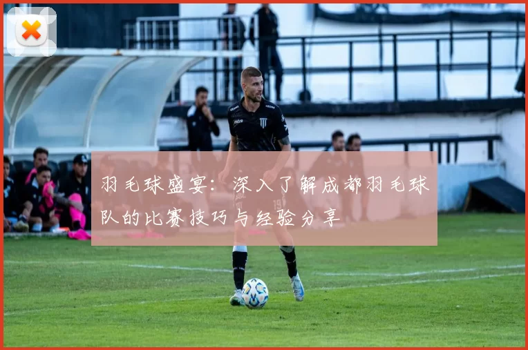 羽毛球盛宴：深入了解成都羽毛球队的比赛技巧与经验分享