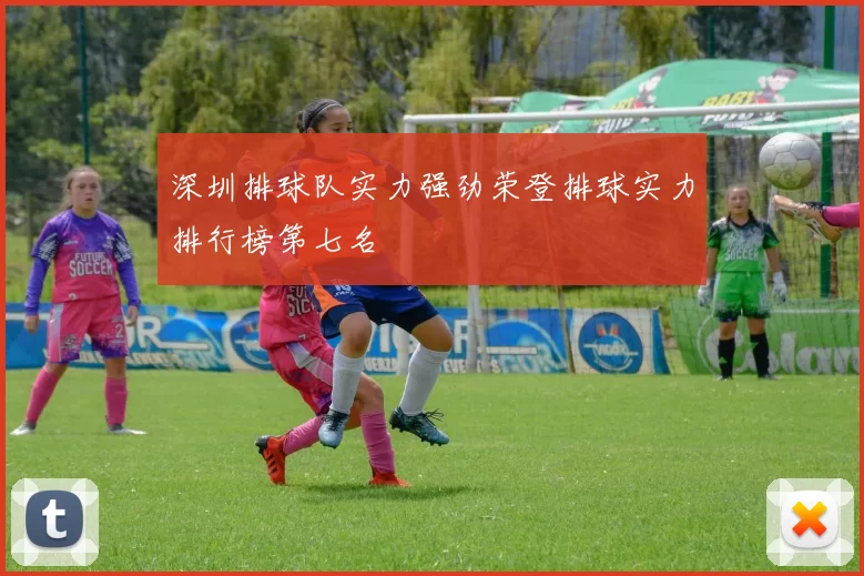 深圳排球队实力强劲荣登排球实力排行榜第七名