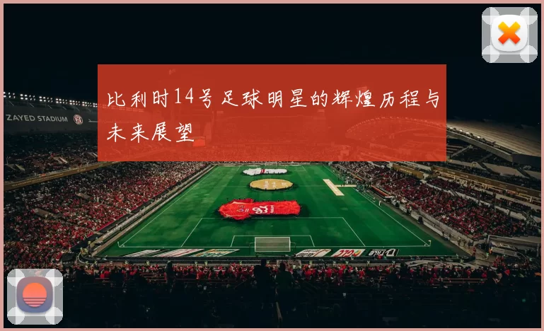 比利时14号足球明星的辉煌历程与未来展望