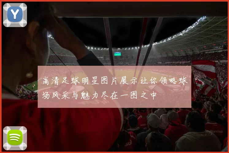 高清足球明星图片展示让你领略球场风采与魅力尽在一图之中