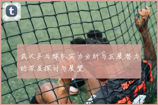 武汉乒乓球队实力分析与发展潜力的深度探讨与展望