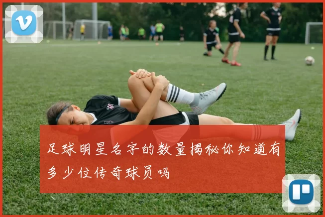 足球明星名字的数量揭秘你知道有多少位传奇球员吗