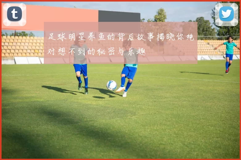 足球明星养鱼的背后故事揭晓你绝对想不到的秘密与乐趣
