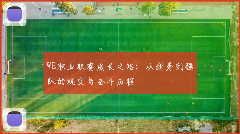 WE职业联赛成长之路：从新秀到强队的蜕变与奋斗历程