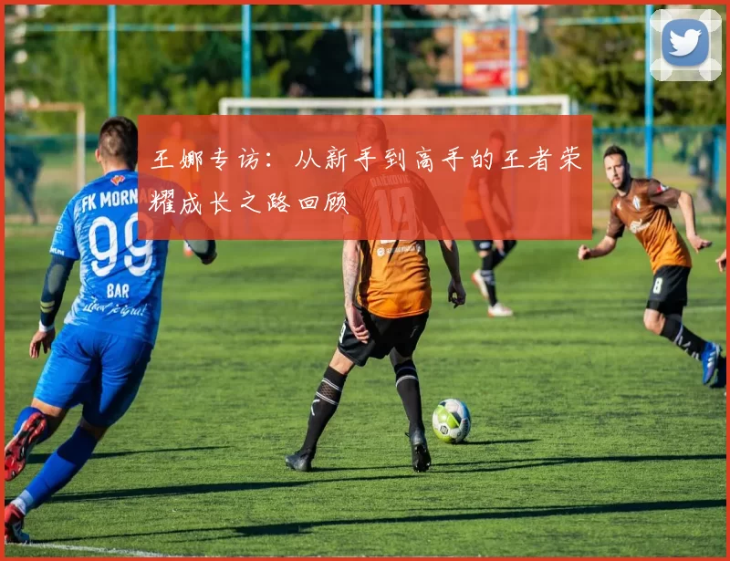 王娜专访：从新手到高手的王者荣耀成长之路回顾