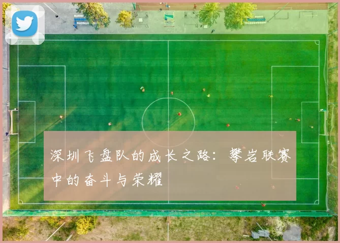 深圳飞盘队的成长之路：攀岩联赛中的奋斗与荣耀