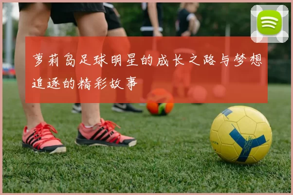 萝莉岛足球明星的成长之路与梦想追逐的精彩故事