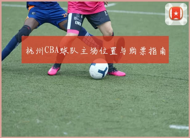 杭州CBA球队主场位置与购票指南