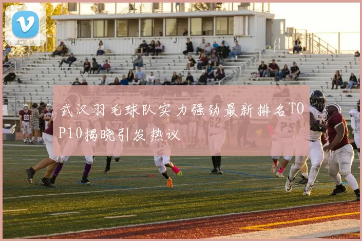 武汉羽毛球队实力强劲最新排名TOP10揭晓引发热议