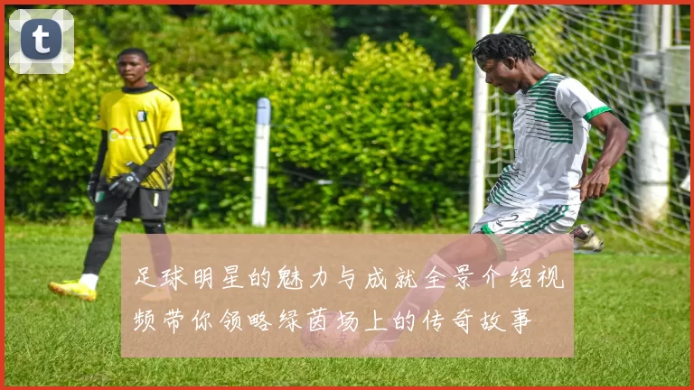 足球明星的魅力与成就全景介绍视频带你领略绿茵场上的传奇故事
